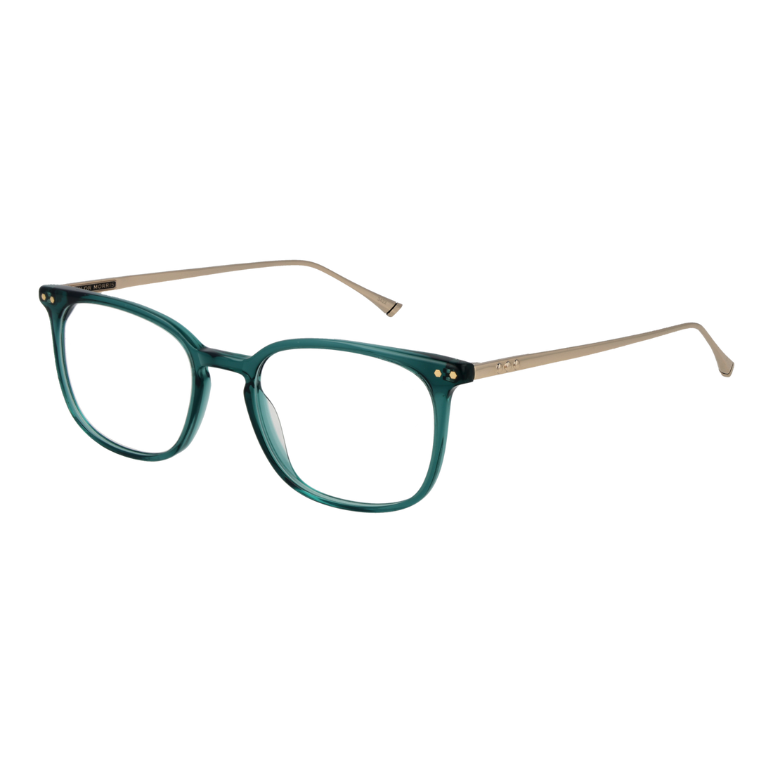 Taylor Morris Optical Frame TM06 C4 49