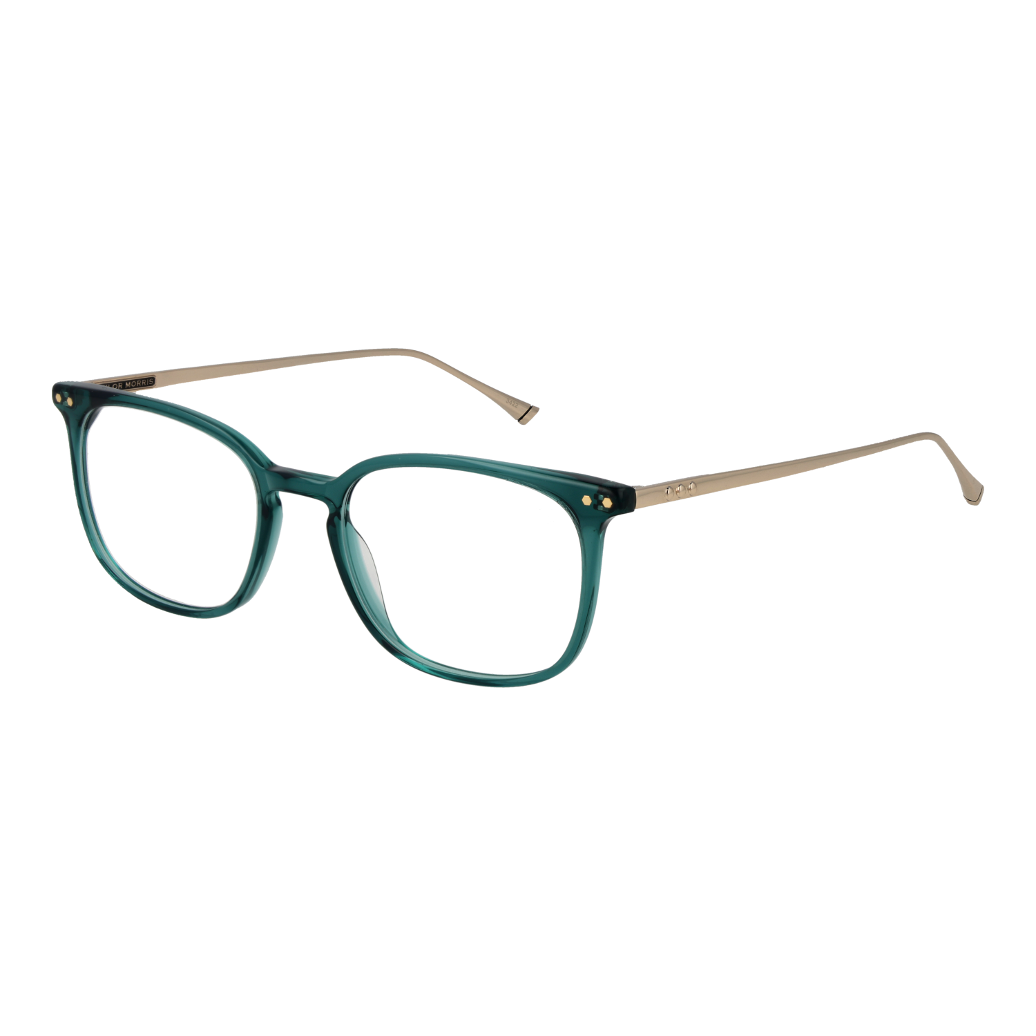 Taylor Morris Optical Frame TM06 C4 49
