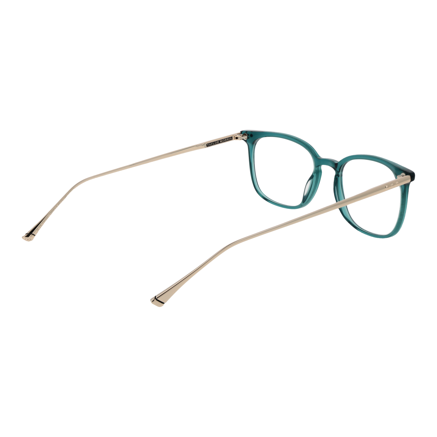 Taylor Morris Optical Frame TM06 C4 49