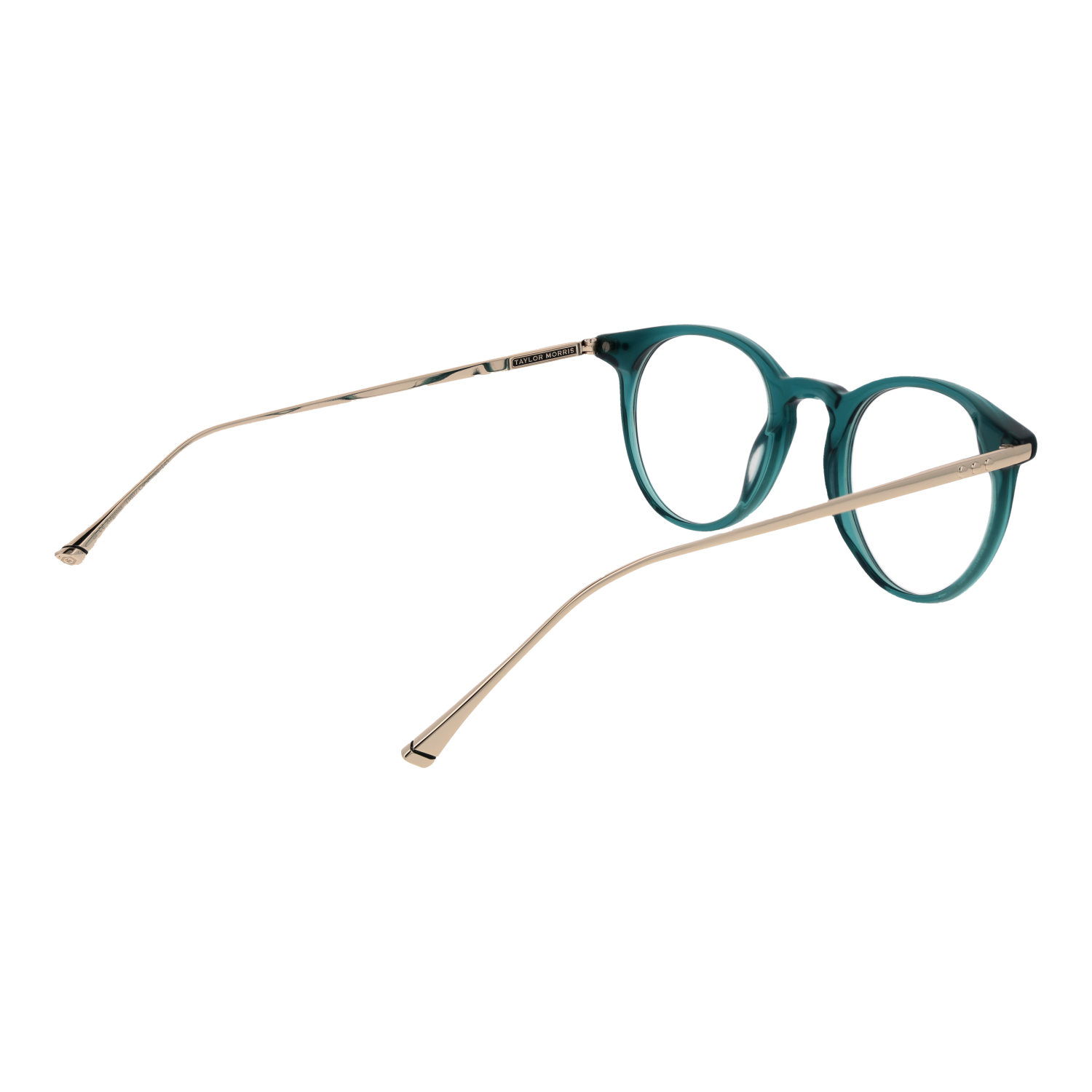 Taylor Morris Optical Frame TM07 C4 47