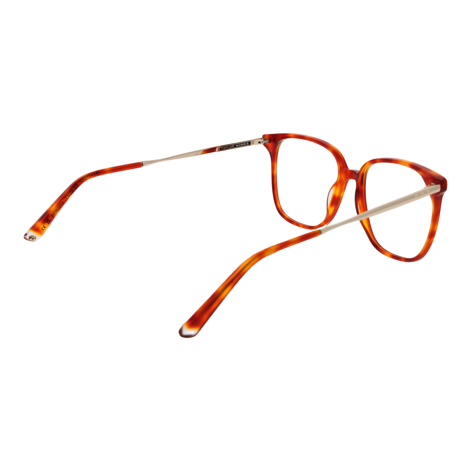 Taylor Morris Optical Frame TM08 C2 53