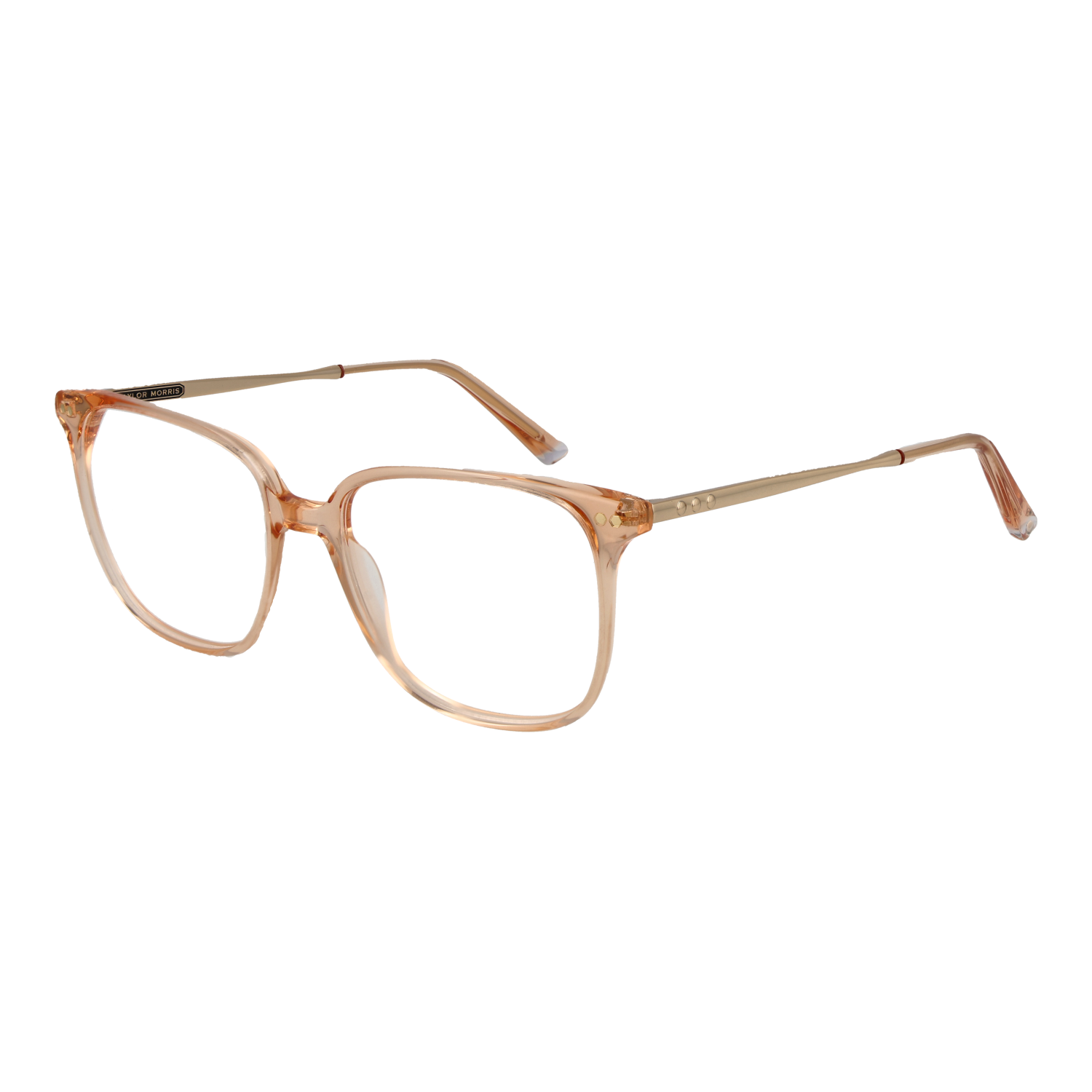 Taylor Morris Optical Frame TM08 C3 53
