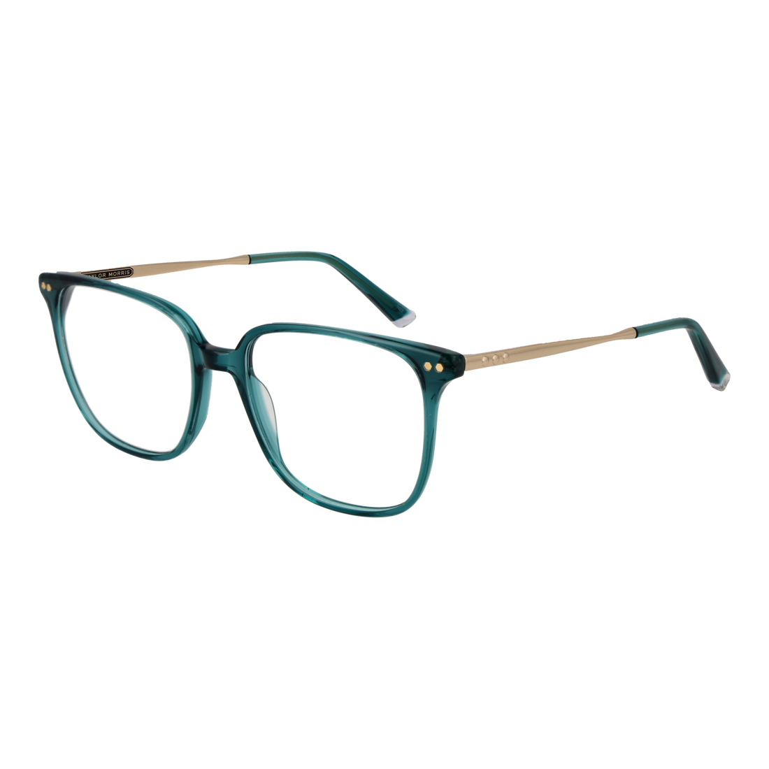 Taylor Morris Optical Frame TM08 C4 53