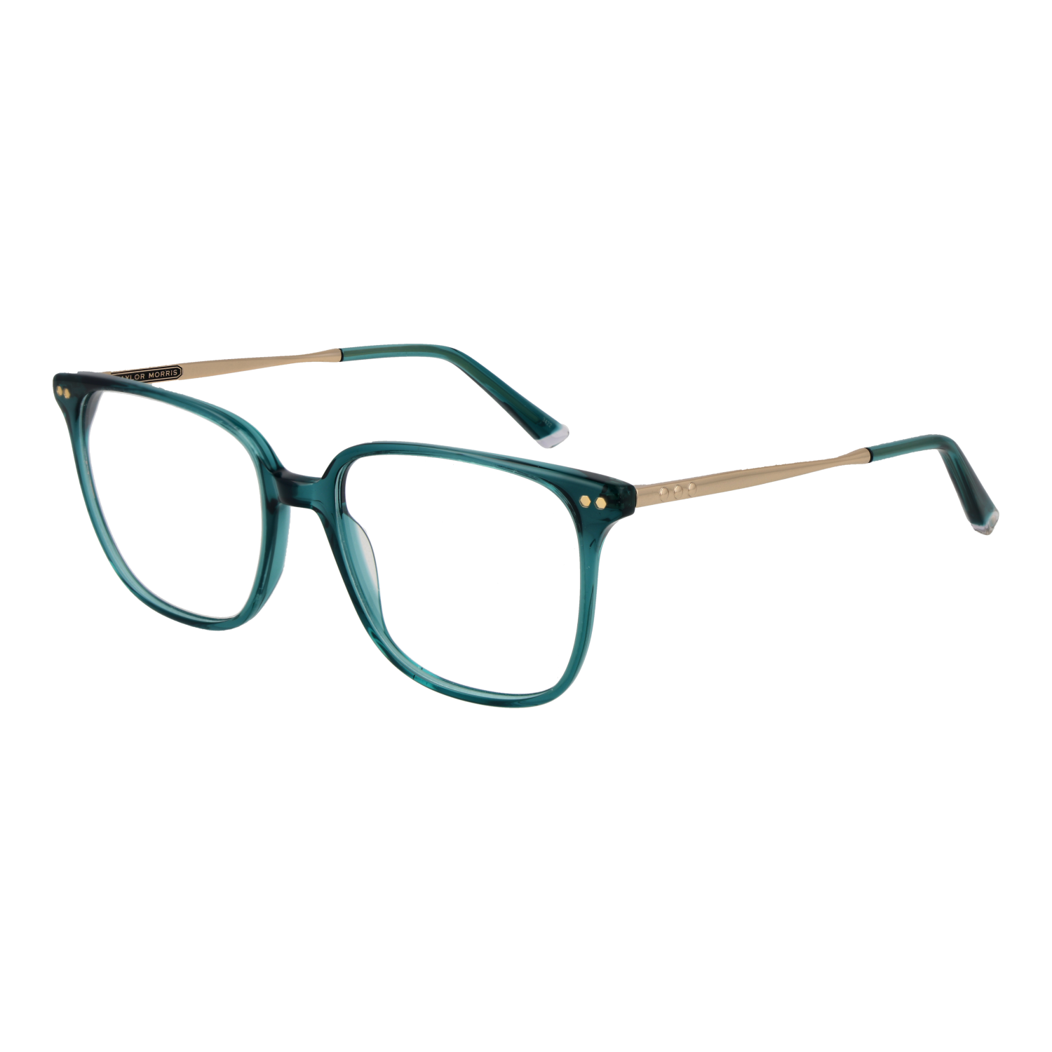 Taylor Morris Optical Frame TM08 C4 53