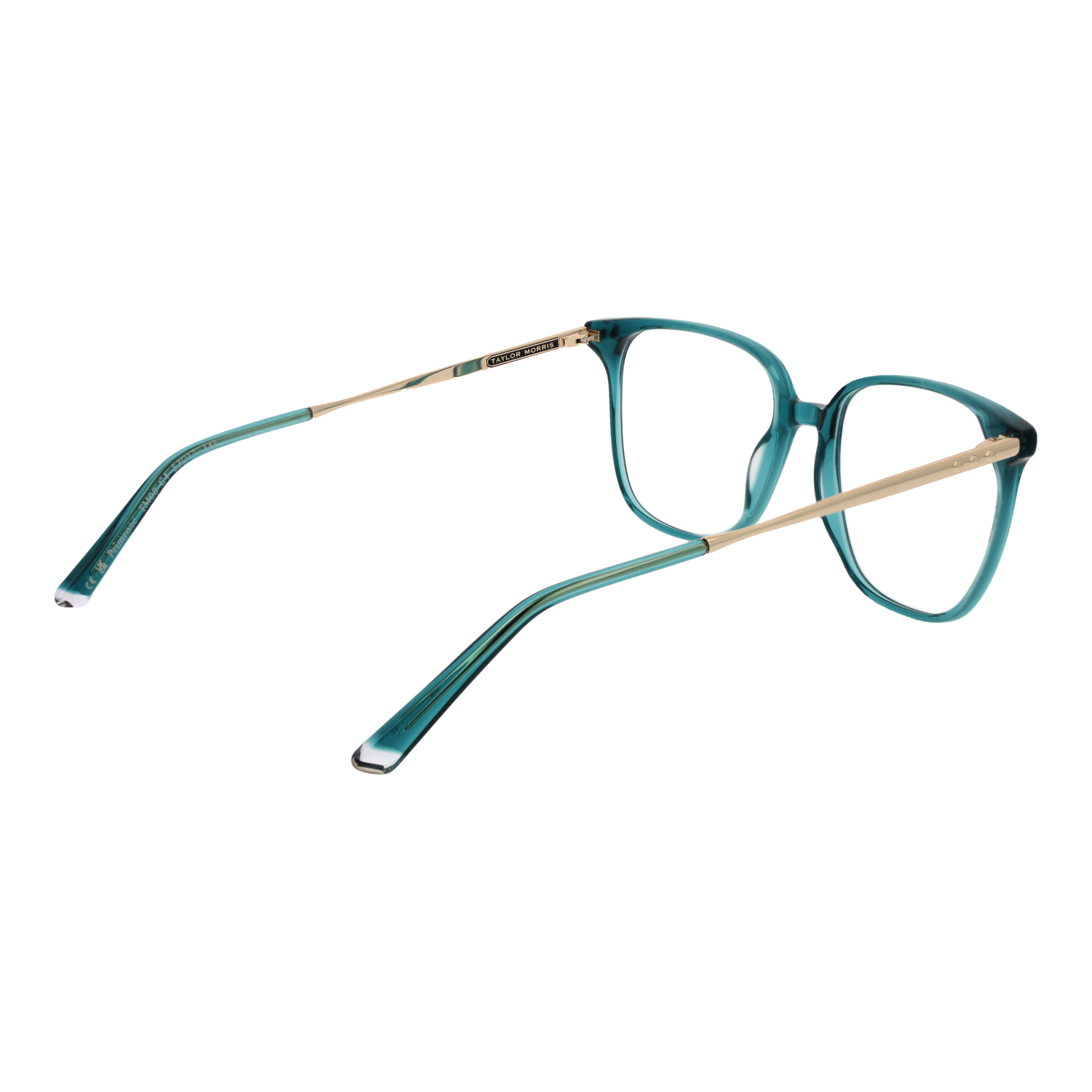 Taylor Morris Optical Frame TM08 C4 53