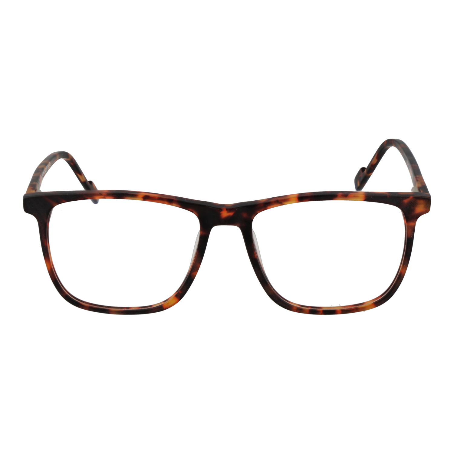 Funky Buddha Optical Frame FBD1073 003 56