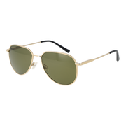 Serengeti Sunglasses SS543003 Haywood