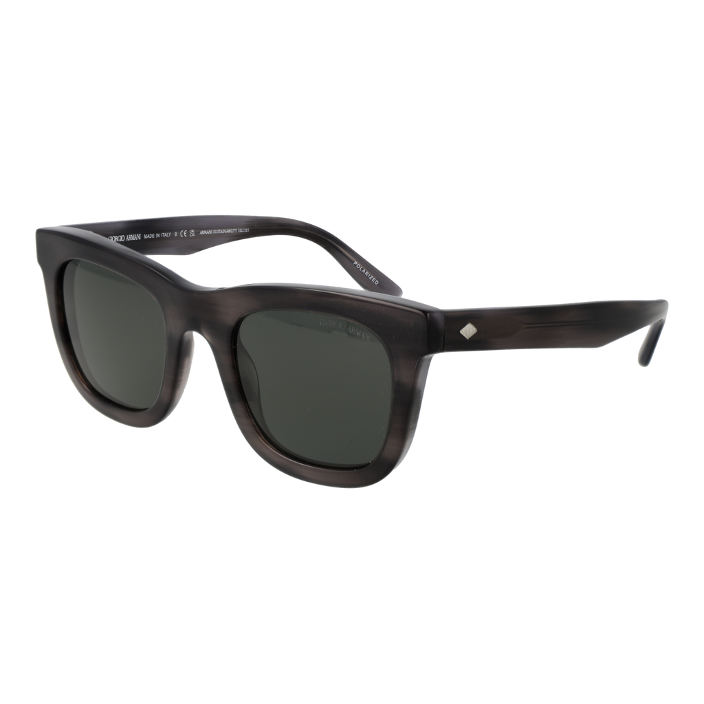 Giorgio Armani Sunglasses 0AR8171 5964P2 49