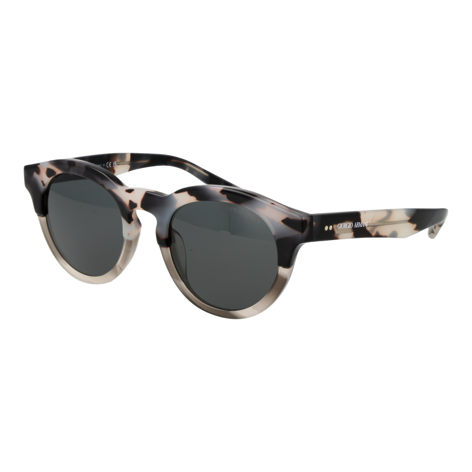 Giorgio Armani Sunglasses 0AR8189U 600987 51