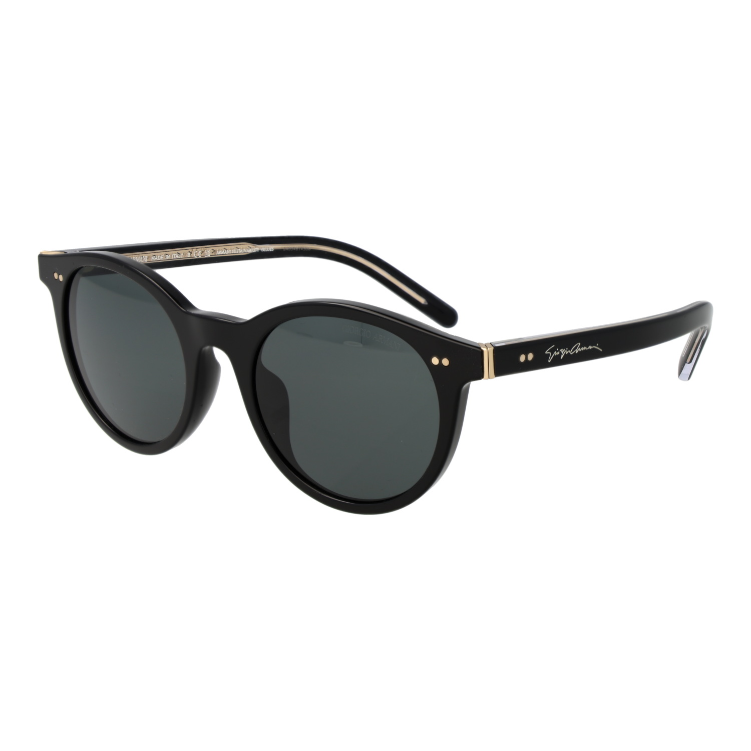 Giorgio Armani Sunglasses 0AR8199U 587587 50