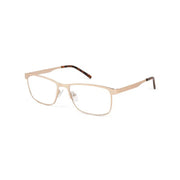 Burghley & Co glasses, Burghley Essentials ES6 Gold – Burghley & Co (Image 1)