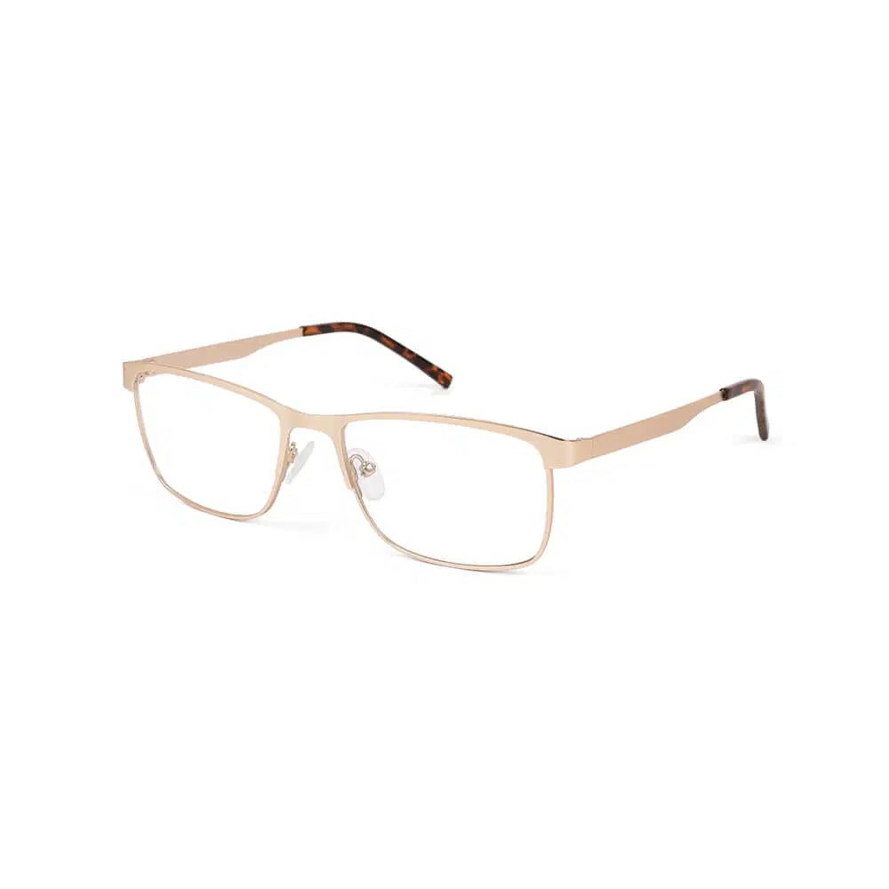Burghley & Co glasses, Burghley Essentials ES6 Gold – Burghley & Co (Image 1)